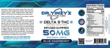 Load image into Gallery viewer, Dr. Yinzy&#39;s CBD Delta 9 Blue Raspberry 50MG Jar 5MG Each 10 Pieces