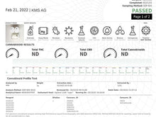 Load image into Gallery viewer, Hydroxy THC 11 Zkittlez Indica - 1 Gram Disposable