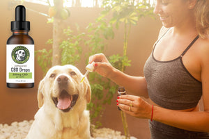 Green Thumb Guys CBD Drops Pet Care 250mg or 500mg Per Bottle